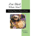 Zoe Died. What Now?: Finding Hope in Times of Loss