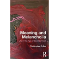 Meaning and Melancholia: Life in the Age of Bewilderment