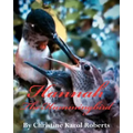 Hannah the Hummingbird