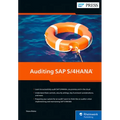 Auditing SAP S/4hana