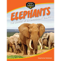 Elephants: The League of Extraordinary Giants