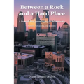 Between a Rock and a Hard Place: A Somali boy growing up in Minnesota: Family, Schooling and Identity