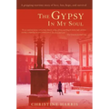 The Gypsy in My Soul