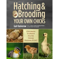Hatching & Brooding Your Own Chicks: Chickens, Turkeys, Ducks, Geese, Guinea Fowl