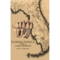 Florida Fossils: Land Animals