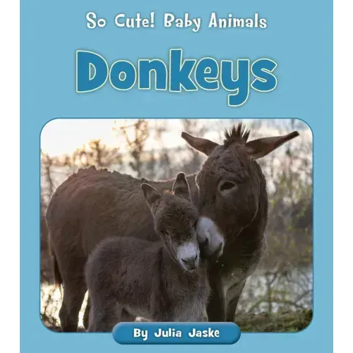 Donkeys