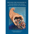 Beyond the Wonderful: Transforming the World with the Light of Your Being