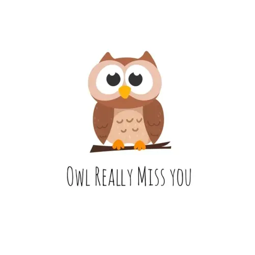 Owl Really Miss you: Perfect goodbye gift for coworker that is leaving / going away gift for your co worker, boss, manager, employee.