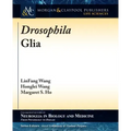 Drosophila Glia