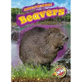 Beavers