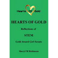 Reflections of STEM: Gold Award Girl Scouts