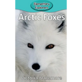 Arctic Foxes