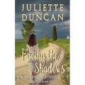 Facing the Shadows: A Christian Romance