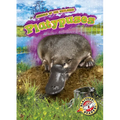 Platypuses
