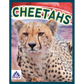 Cheetahs