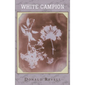 White Campion