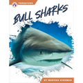 Bull Sharks