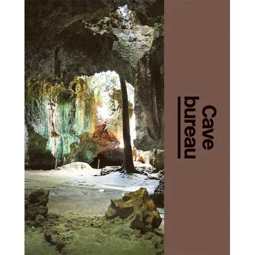 Cave Bureau: The Architect's Studio