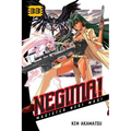 Negima!, Volume 33: Magister Negi Magi