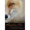 Kissed by a Fox: And Other Stories of Friendship in Nature