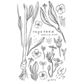 Rapeseed: Poetry and Writing About Life After Rape