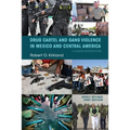 Drug Cartel and Gang Violence in Mexico and Central America: A Concise Introduction