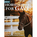 Horseshoes for Gavi: Toe, Foot, Hoof, Shoe - Who Knew?