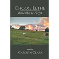 Choose Lethe: Remember to Forget