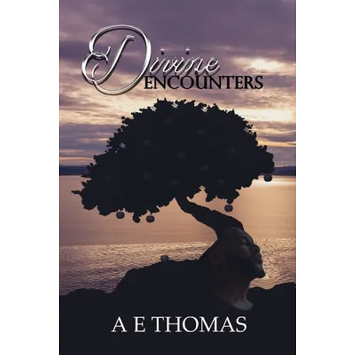 Divine Encounters
