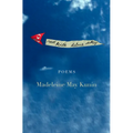Red Kite, Blue Sky