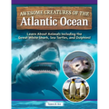 Awesome Creatures of the Atlantic Ocean: Learn about Animals Including the Great White Shark, Sea Turtles, and Dolphins!