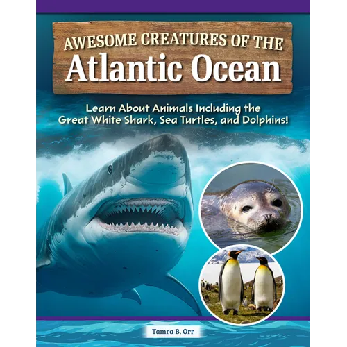 Awesome Creatures of the Atlantic Ocean: Learn about Animals Including the Great White Shark, Sea Turtles, and Dolphins!