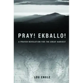 Pray! Ekballo!: A Prayer Revolution For The Great Harvest