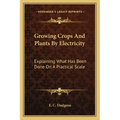 Growing Crops and Plants by Electricity: Explaining What Has Been Done on a Practical Scale
