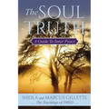 The Soul Truth: A Guide to Inner Peace