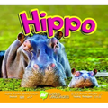 Hippo