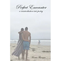 Perfect Encounter: a reintroduction into poetry