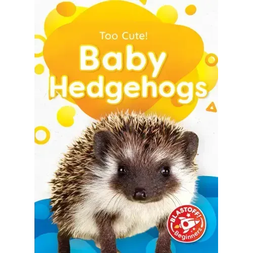 Baby Hedgehogs