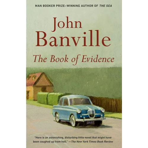 The Book of Evidence