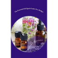 The Essential Oil Quick Guide: On a Budget