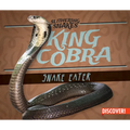 King Cobra: Snake Eater