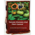Tomato Diseases And Their Control