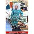 An Amish Second Christmas Miracle