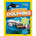Absolute Expert: Dolphins