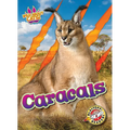 Caracals