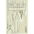The Art of Taxidermy