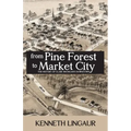 From Pine Forest to Market City: The History of Clare Michigan's Downtown