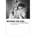 David Levi Strauss: Between the Eyes: Essays on Photography and Politics