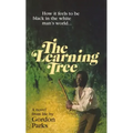 The Learning Tree