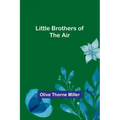 Little Brothers of the Air